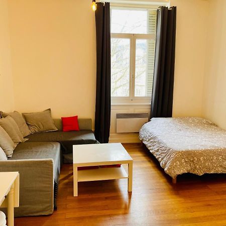 Апартаменты Studio Cosy De 28M2 Au Centre De Страсбург Экстерьер фото