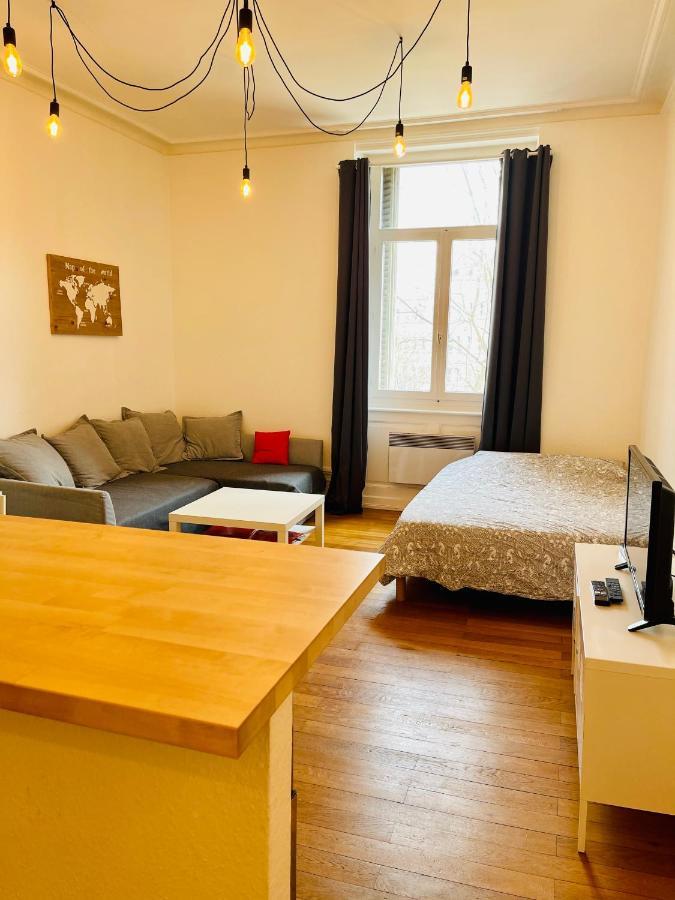 Апартаменты Studio Cosy De 28M2 Au Centre De Страсбург Экстерьер фото